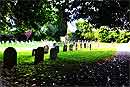 Resting Places of Limerick : Quakers Graveyard